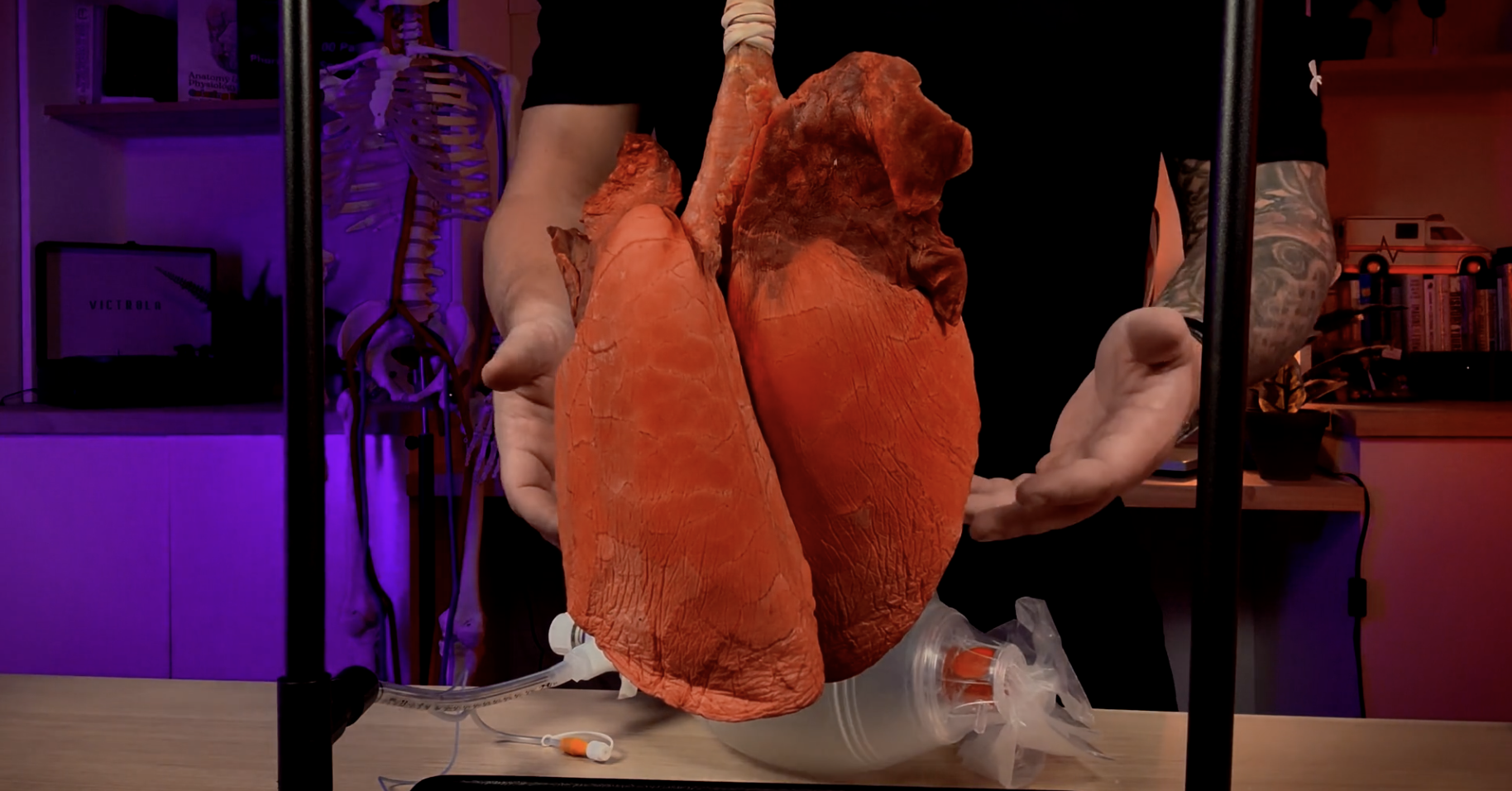 Anatomical heart and lungs model demonstrating physiology-first EMS education methodology